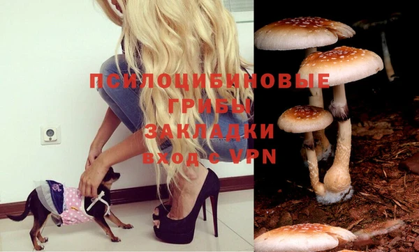 винт Лихославль