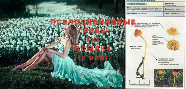 кокаин Липки